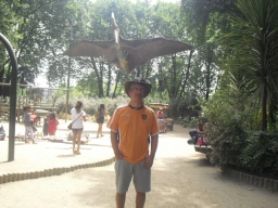 augusto