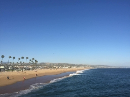 dolphinpanorama