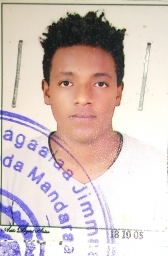 mihret