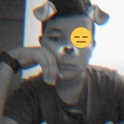 ren_br