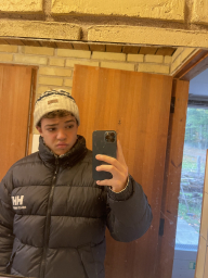 alanelfeten