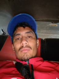 holtean2