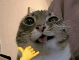 lileyeys0