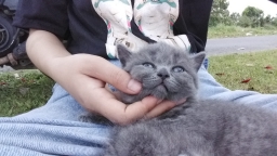 ngoctrang
